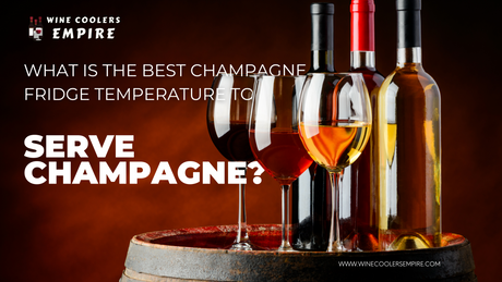What is the Best Champagne Fridge Temperature to Serve Champagne? | Wine Coolers Empire