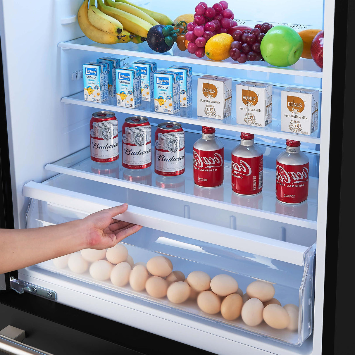 Forno Milano Espresso 31" Black 17.2 Cu.Ft W/ Ice Maker Bottom Freezer Refrigerator FFFFD1786-31BLK Refrigerators FFFFD1786-31BLK Wine Coolers Empire