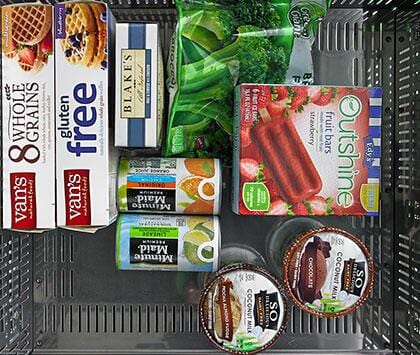 Perlick 24 inch ADA Compliant Series Compact Freezer HA24FB-4-5 Freezers HA24FB-4-5L Wine Coolers Empire