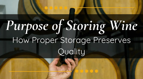 Purpose of Storing Wine: How Proper Storage Preserves Quality | Wine Coolers Empire