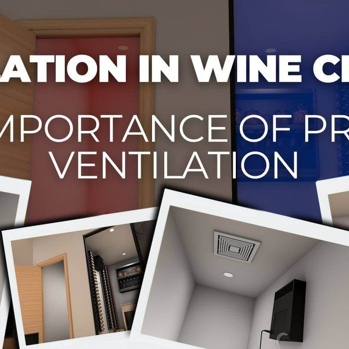Ventilation in Wine Cellar: The Importance of Proper Ventilation