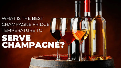 What is the Best Champagne Fridge Temperature to Serve Champagne? | Wine Coolers Empire