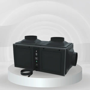 Above 2000 cu. ft. Wine Cellars