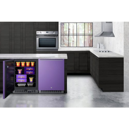 Summit 24" Purple Door Built-In All-Freezer ALFZ53P Wine Coolers Empire