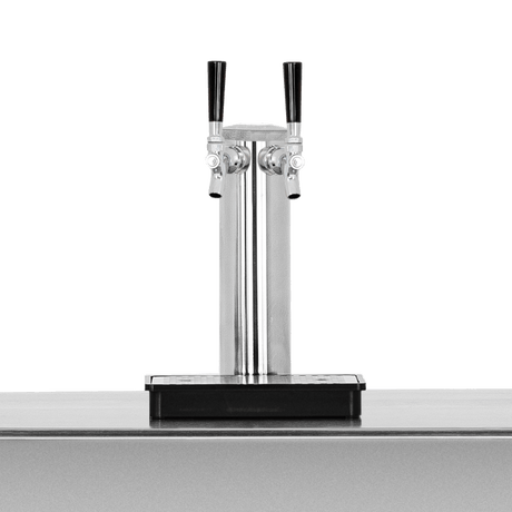 True Flame 24" 6.6C Deluxe Outdoor Rated Dual Tap Kegerator TF-RFR-24DK2 Kegerators TF-RFR-24DK2 Wine Coolers Empire